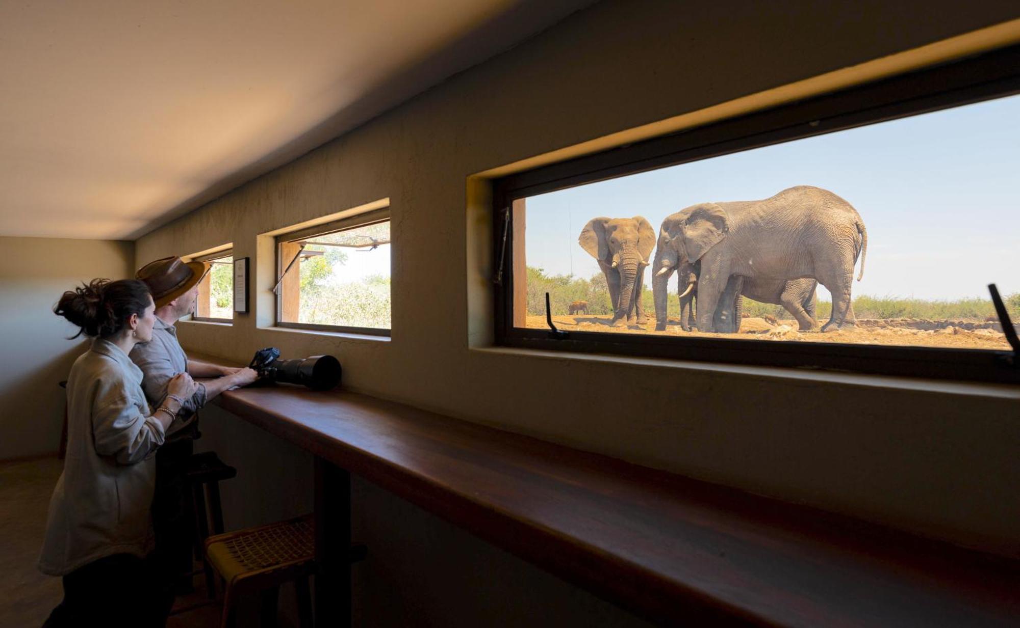 Rhulani Safari Lodge Madikwe Game Reserve Extérieur photo