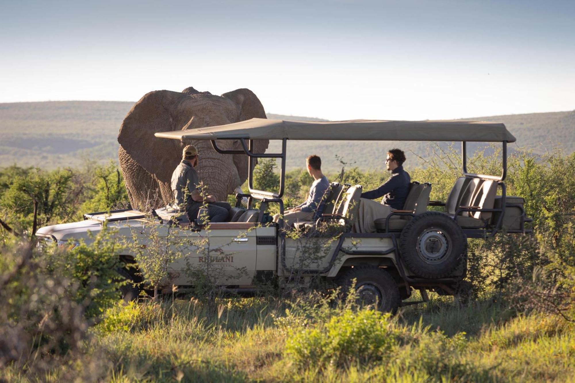 Rhulani Safari Lodge Madikwe Game Reserve Extérieur photo