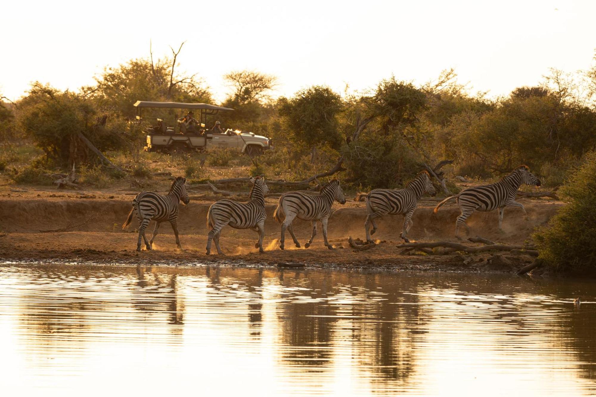 Rhulani Safari Lodge Madikwe Game Reserve Extérieur photo