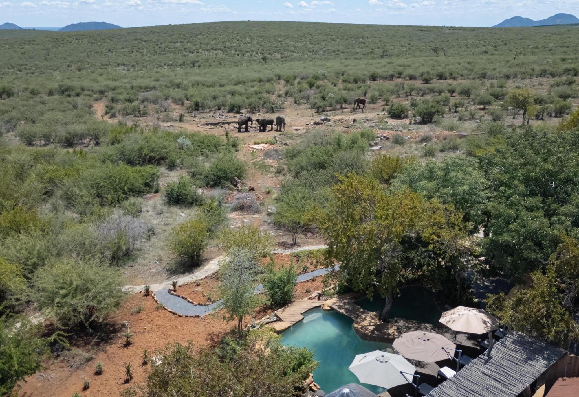 Rhulani Safari Lodge Madikwe Game Reserve Extérieur photo