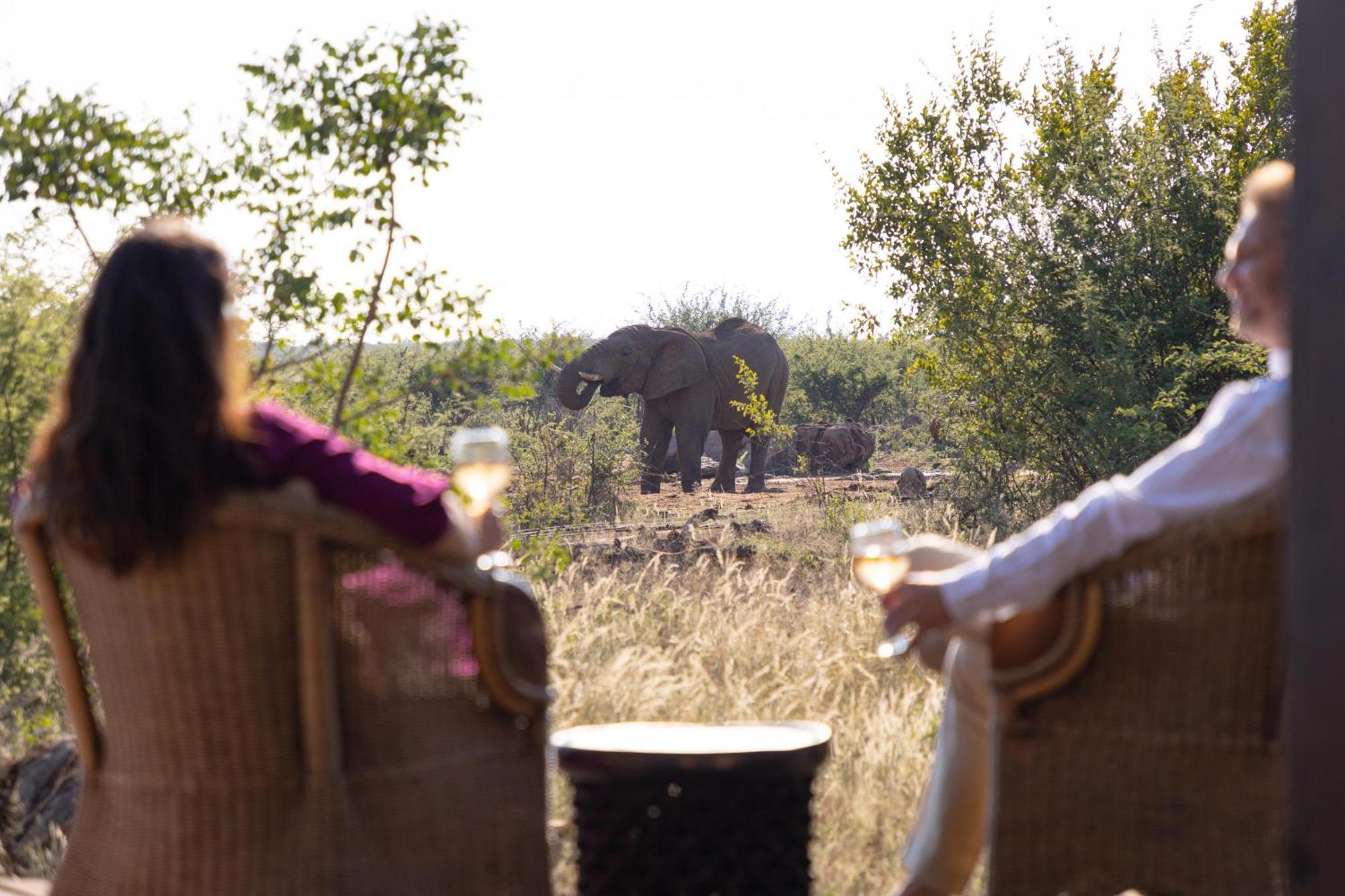 Rhulani Safari Lodge Madikwe Game Reserve Extérieur photo