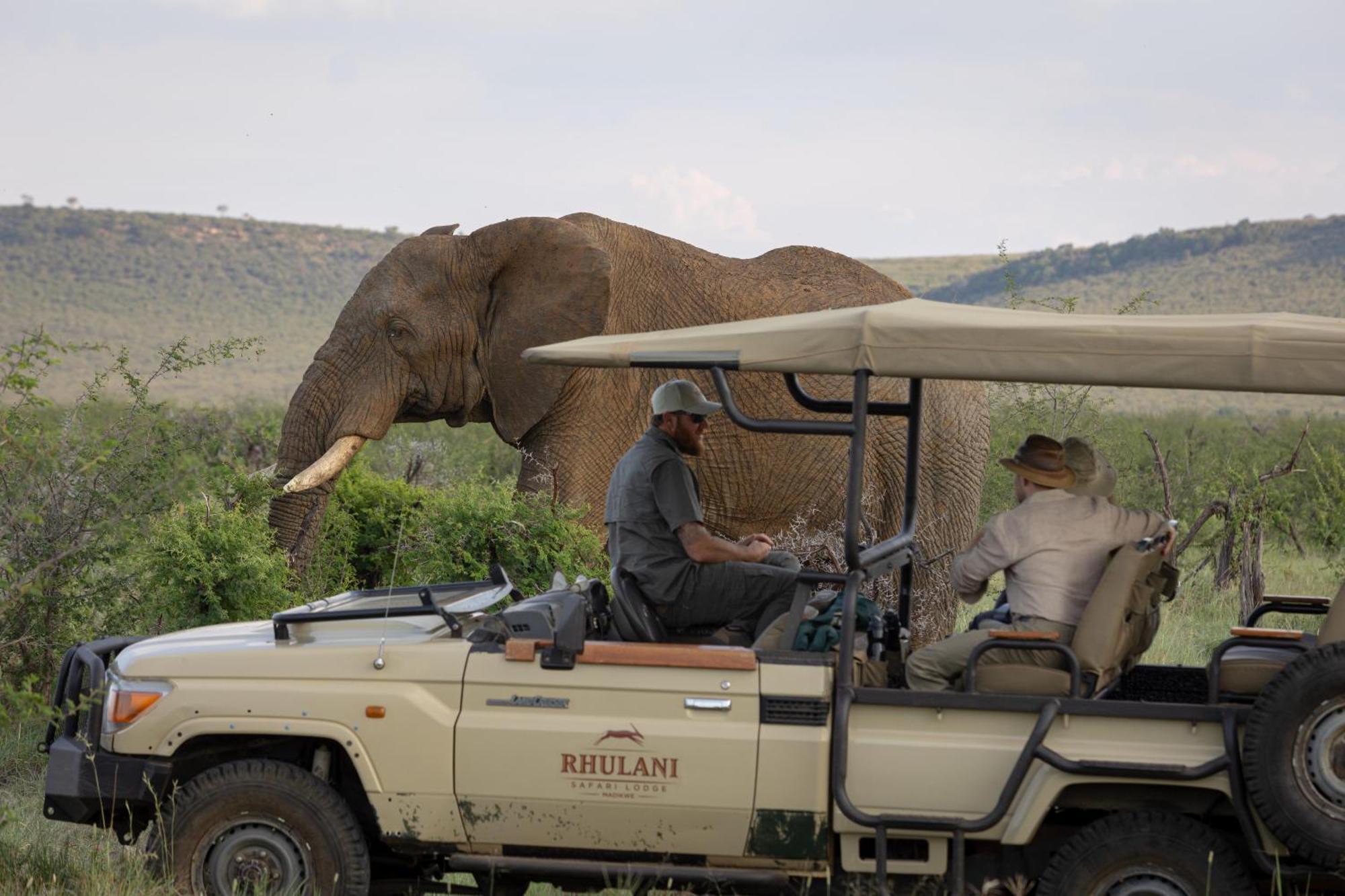 Rhulani Safari Lodge Madikwe Game Reserve Extérieur photo