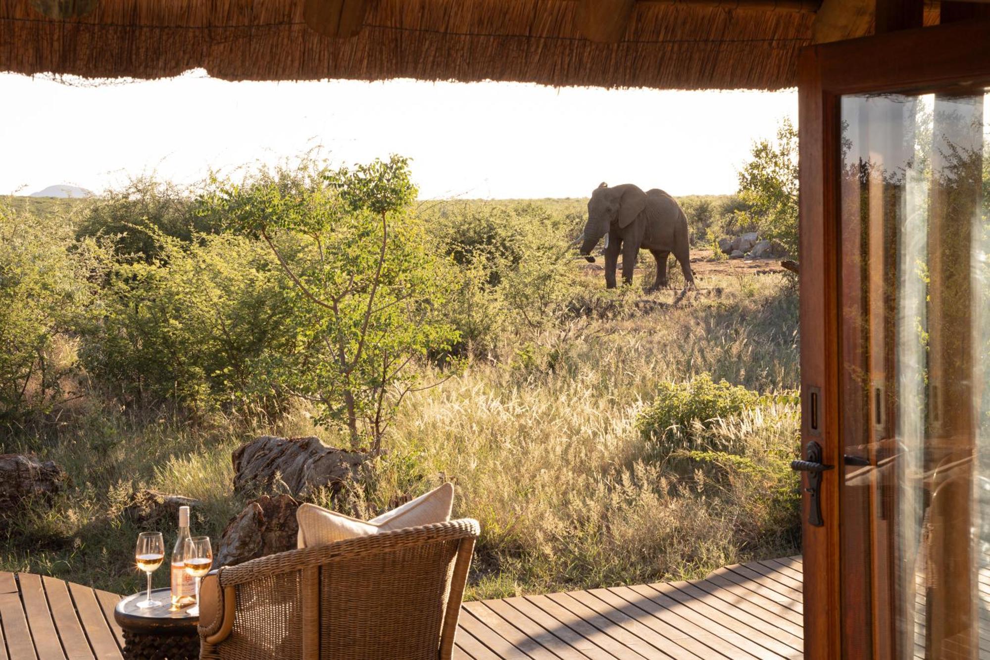 Rhulani Safari Lodge Madikwe Game Reserve Extérieur photo